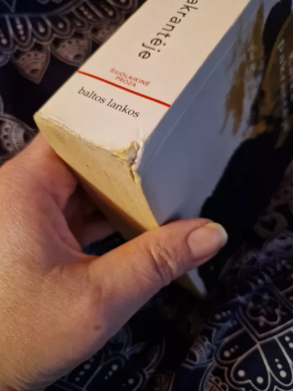 Kafka pakrantėje - Haruki Murakami, knyga 6