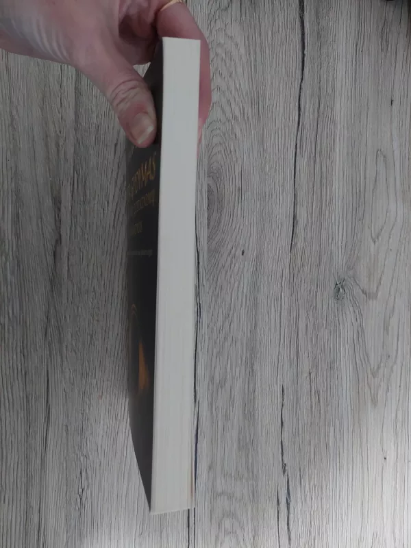 Teta gydymas. Giluminių įsitikinimų ieškojimas - Vianna Stibal, knyga 4