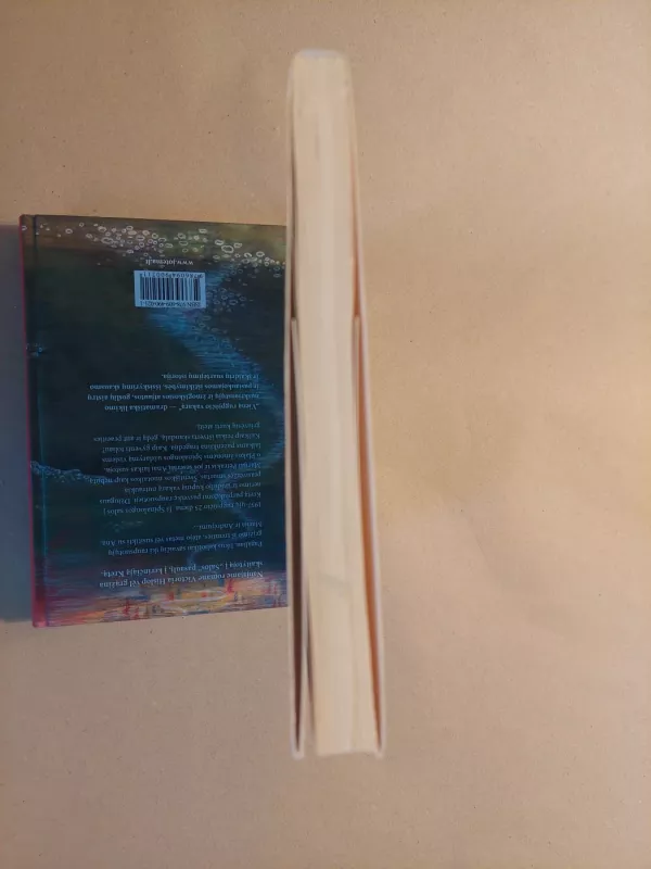 Skauda galvą? Kakta braukite per lango stiklą - Dominika Balčiūnė, knyga 4