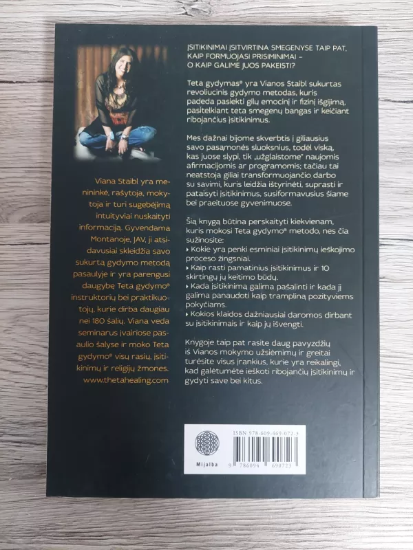 Teta gydymas. Giluminių įsitikinimų ieškojimas - Vianna Stibal, knyga 3