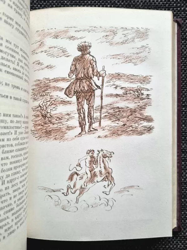 Povesti. Rasskazy - Nikolaj Leskov, knyga 5