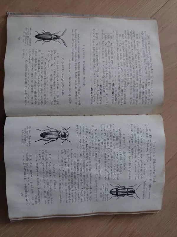 Vadovas Lietuvos vabzdžiams pažinti - Antanas Lešinskas, knyga 3