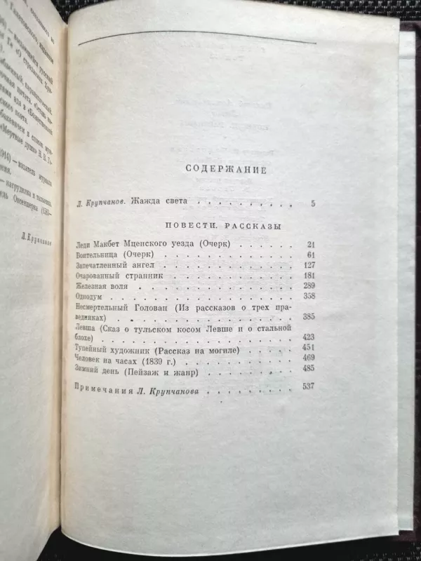 Povesti. Rasskazy - Nikolaj Leskov, knyga 6