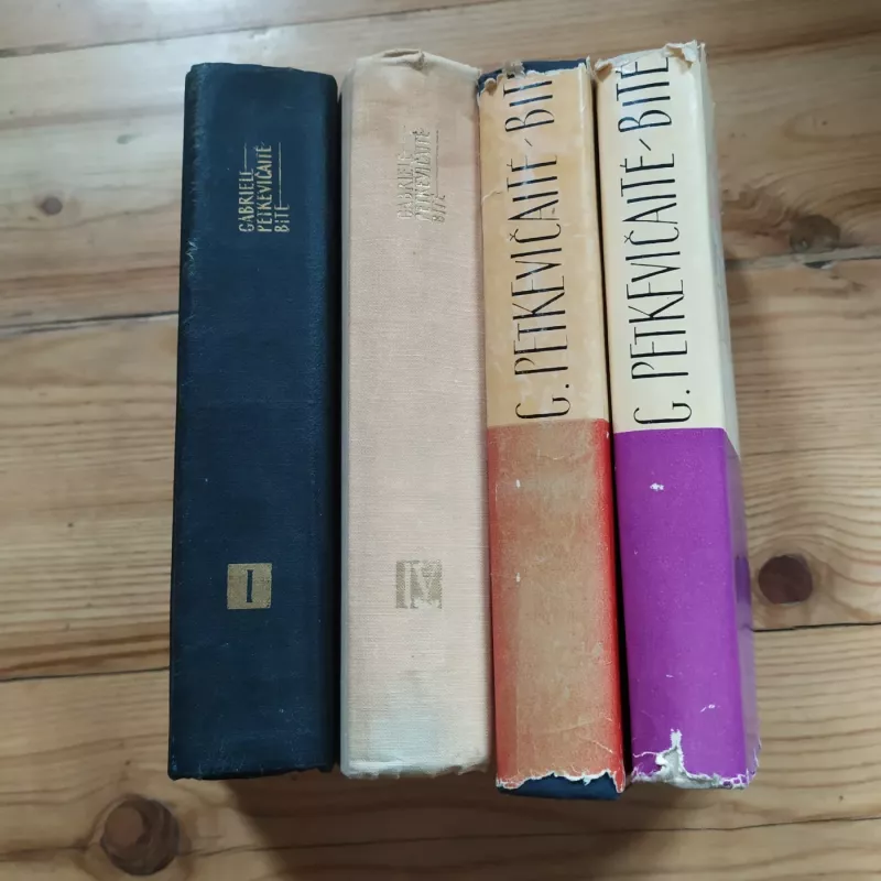 Gabrielė Petkevičaitė Bitė / Raštai I - VI t. - Gabrielė Petkevičaitė Bitė, knyga 2