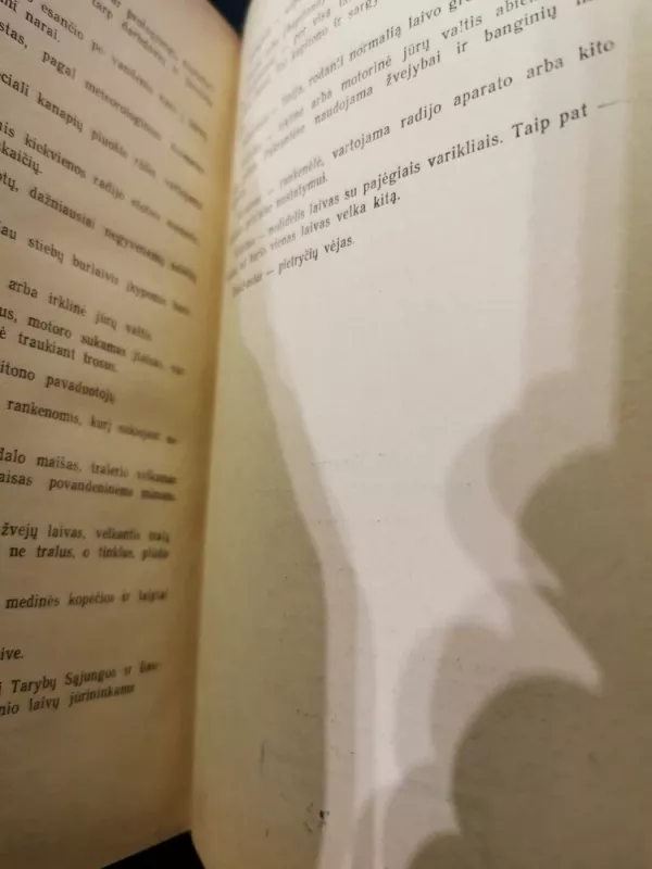 Perkūnas netrenkia į laivą - Algimantas Čekuolis, knyga 6