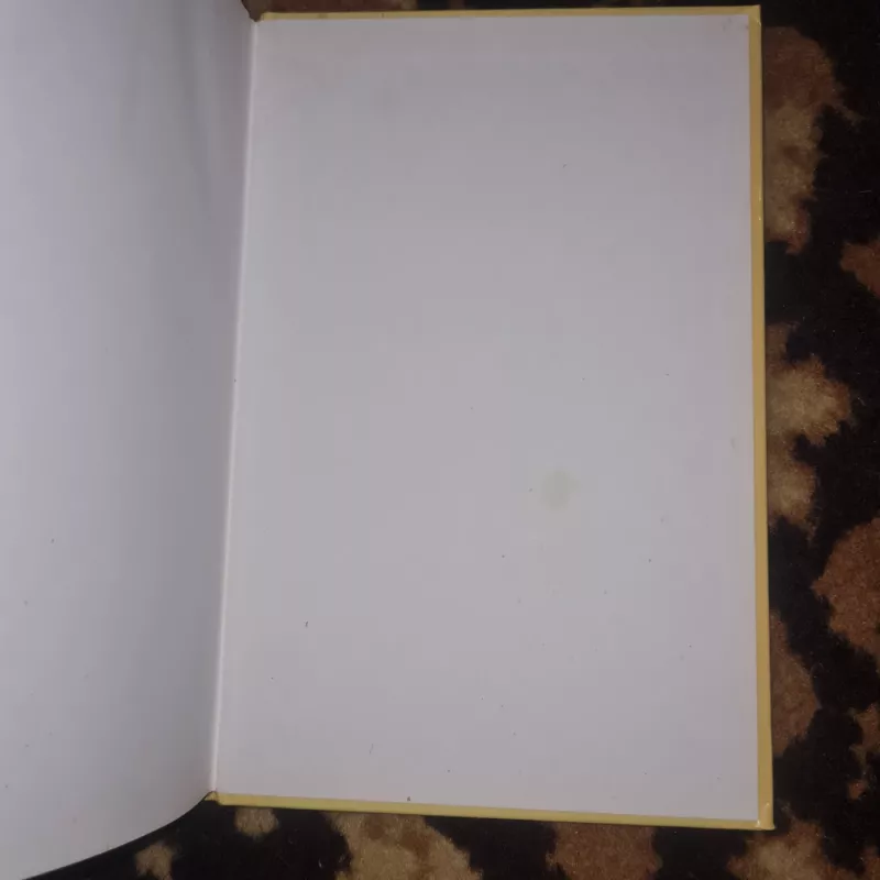 Skudurinės Onutės pasakėlės - Džonis Griuelas, knyga 4