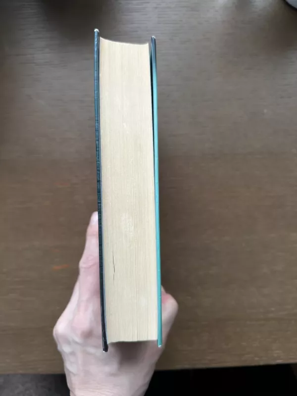 Simtametis, kuris islipo pro langa ir dingo - Jonas Jonasson, knyga 3