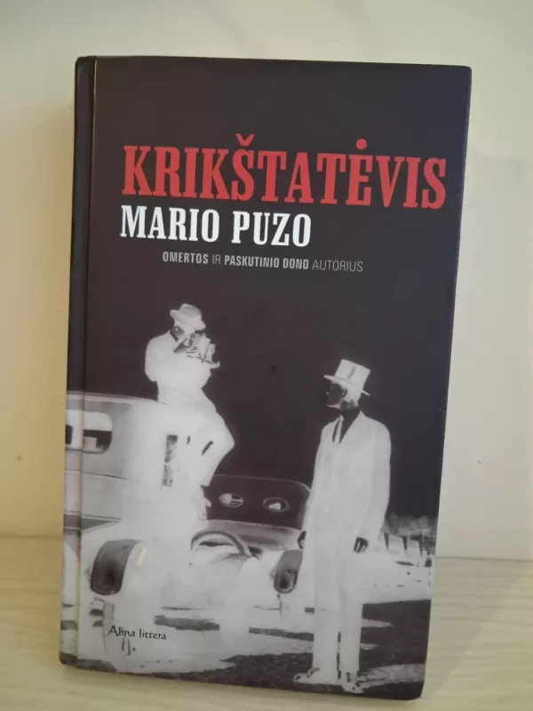 Krikštatėvis - Mario Puzo, knyga 2