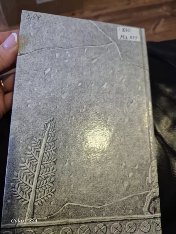 Juozapas ir jo broliai. Jokūbo istorijos - Thomas Mann, knyga 5