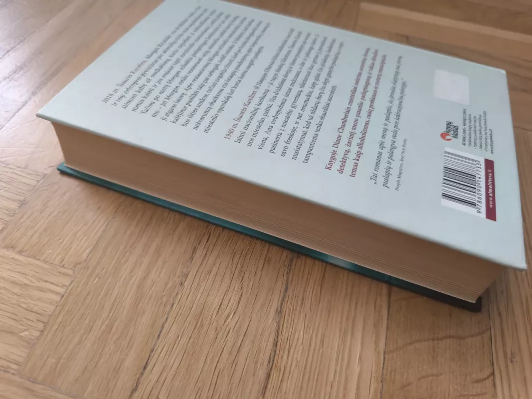 Didelis melas mažame mieste - Diane Chamberlain, knyga 4