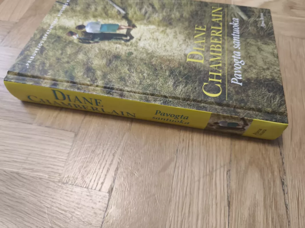 Pavogta santuoka - Diane Chamberlain, knyga 5