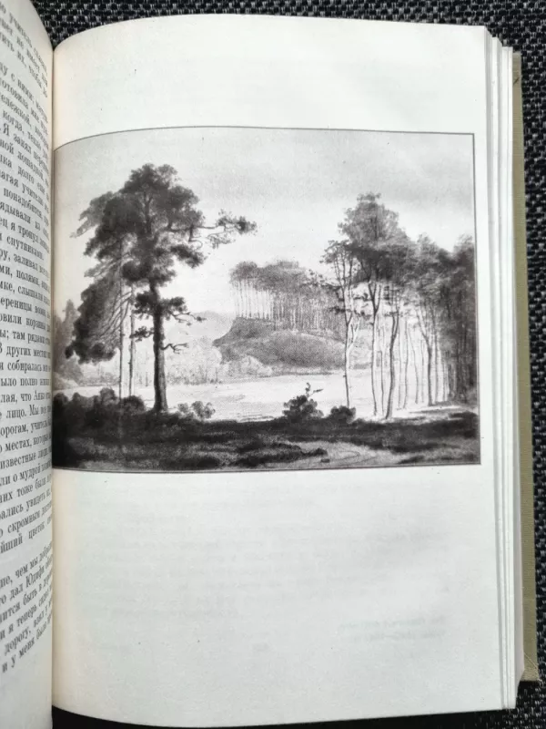 Zelënyj Genrih - Gotfrid Keller, knyga 5