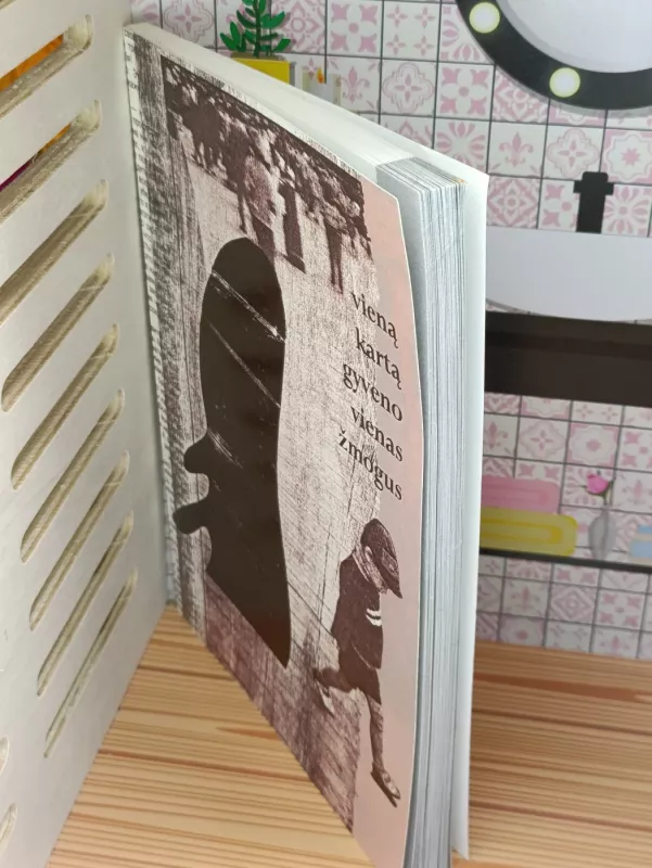 Vieną kartą gyveno vienas žmogus - Darius Pocevičius, knyga 5