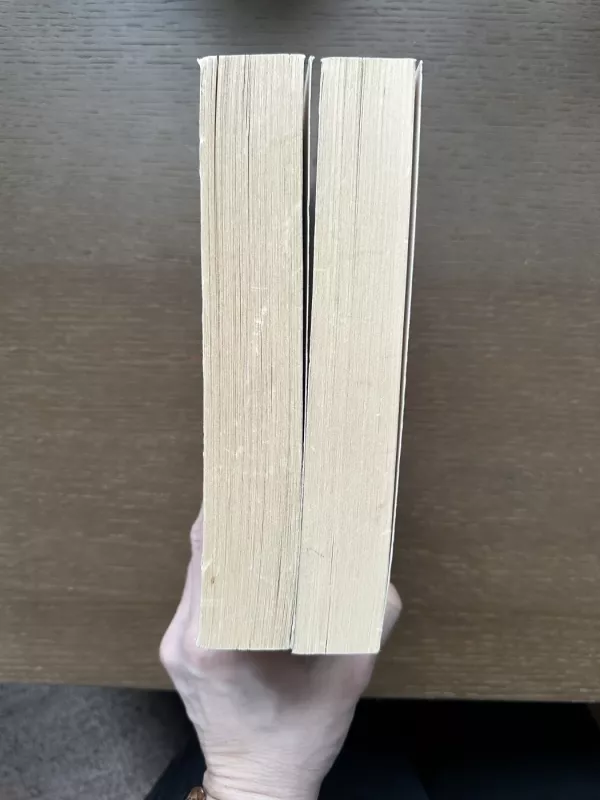 Dvikova 1 ir 2 knygos - Stephen King, knyga 3