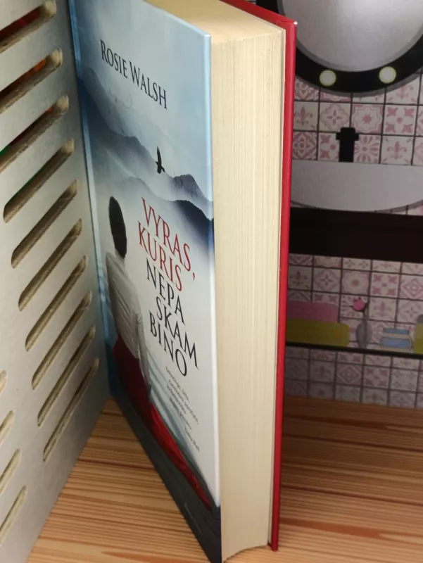 Vyras, kuris nepaskambino - Rosie Walsh, knyga 5