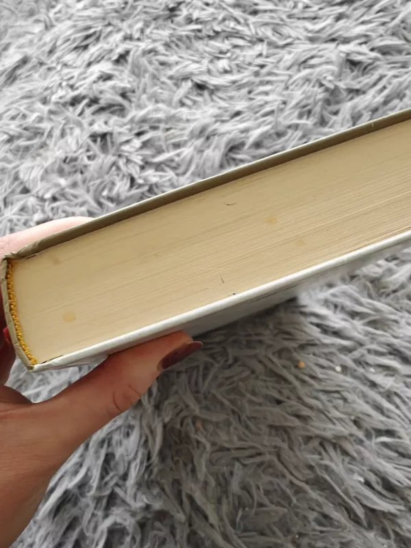 4 vykdymo disciplinos - Sean Covey, knyga 5