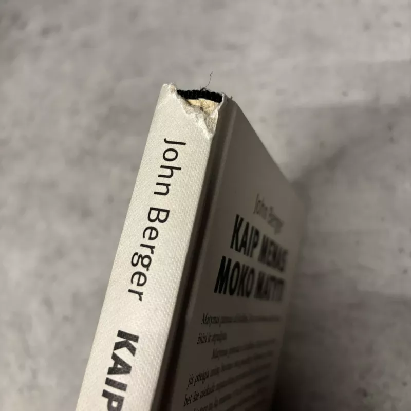 Kaip menas moko matyti - Berger John, Dibb Mike, Blomberg Sven, knyga 6