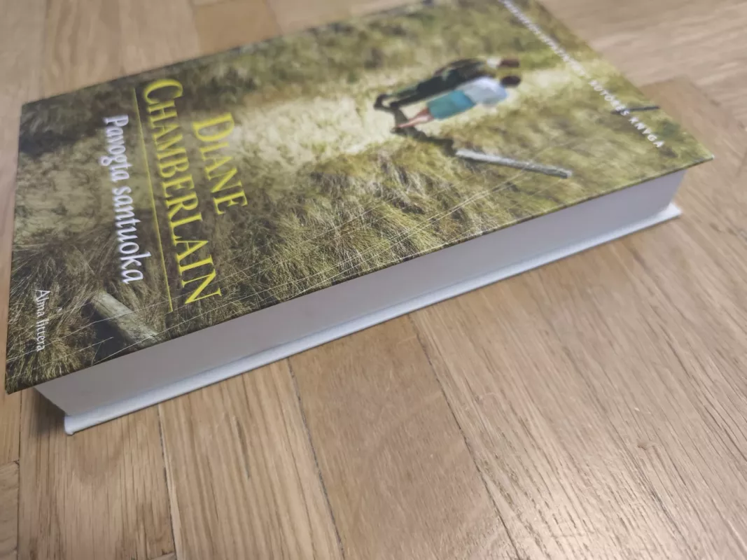 Pavogta santuoka - Diane Chamberlain, knyga 4