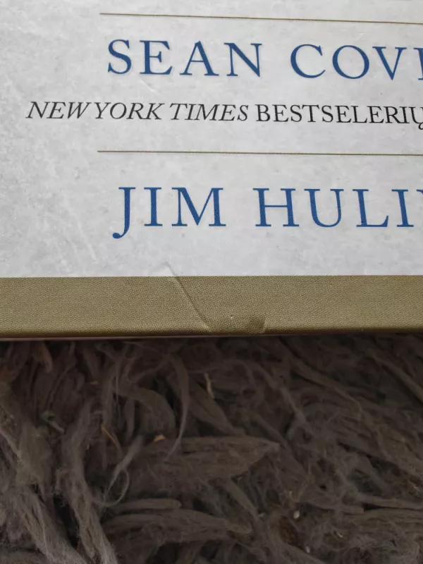 4 vykdymo disciplinos - Sean Covey, knyga 3