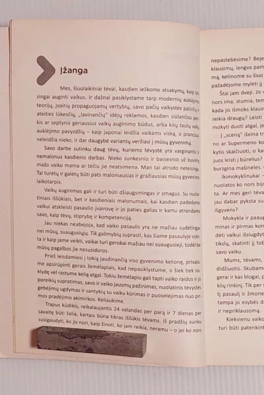 Kaip užauginti žmogų - Aušra Kurienė, knyga 5