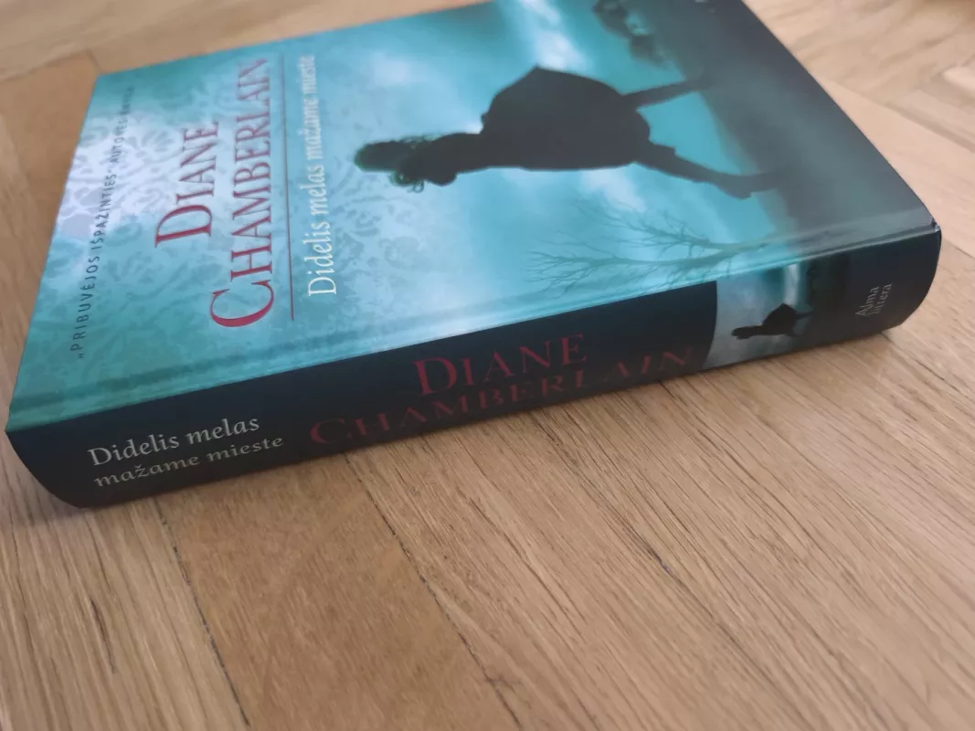 Didelis melas mažame mieste - Diane Chamberlain, knyga 5