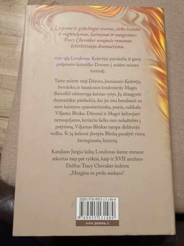 Žiburiai - Tracy Chevalier, knyga 2