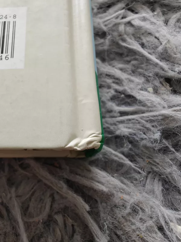 Tai či. Susilieti su dao - Toyo Kobayashi, Petra Kobayashi , knyga 4