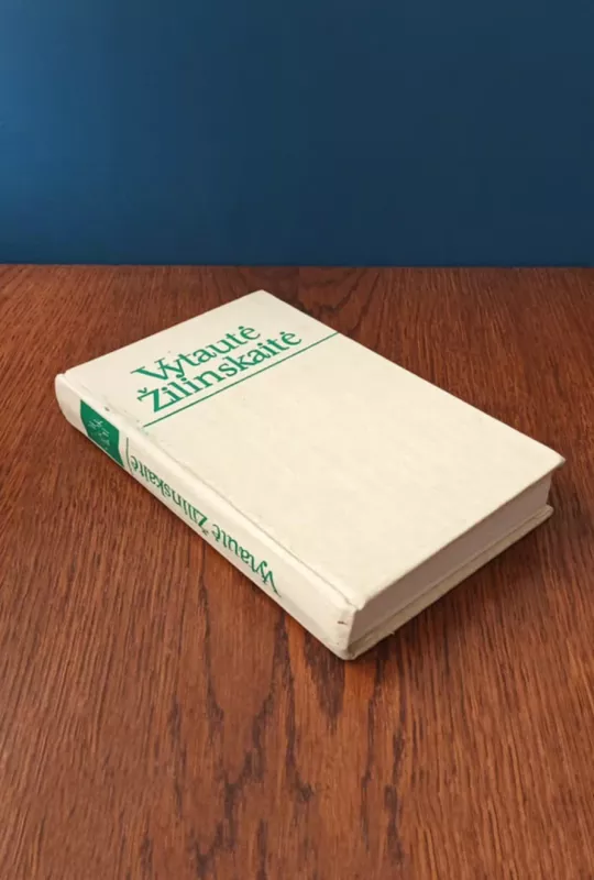 Vaiduokliai - Vytautė Žilinskaitė, knyga 5