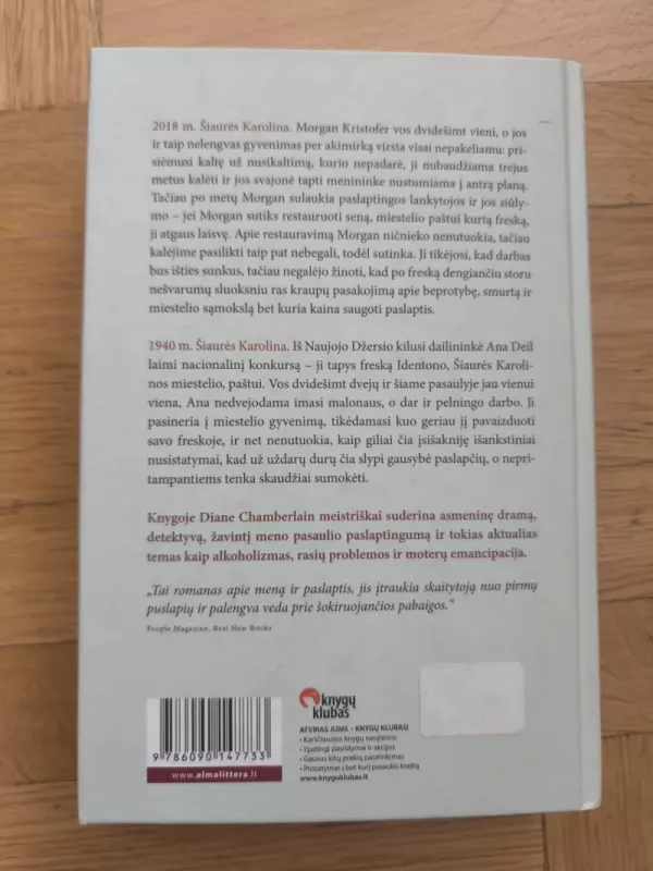 Didelis melas mažame mieste - Diane Chamberlain, knyga 3