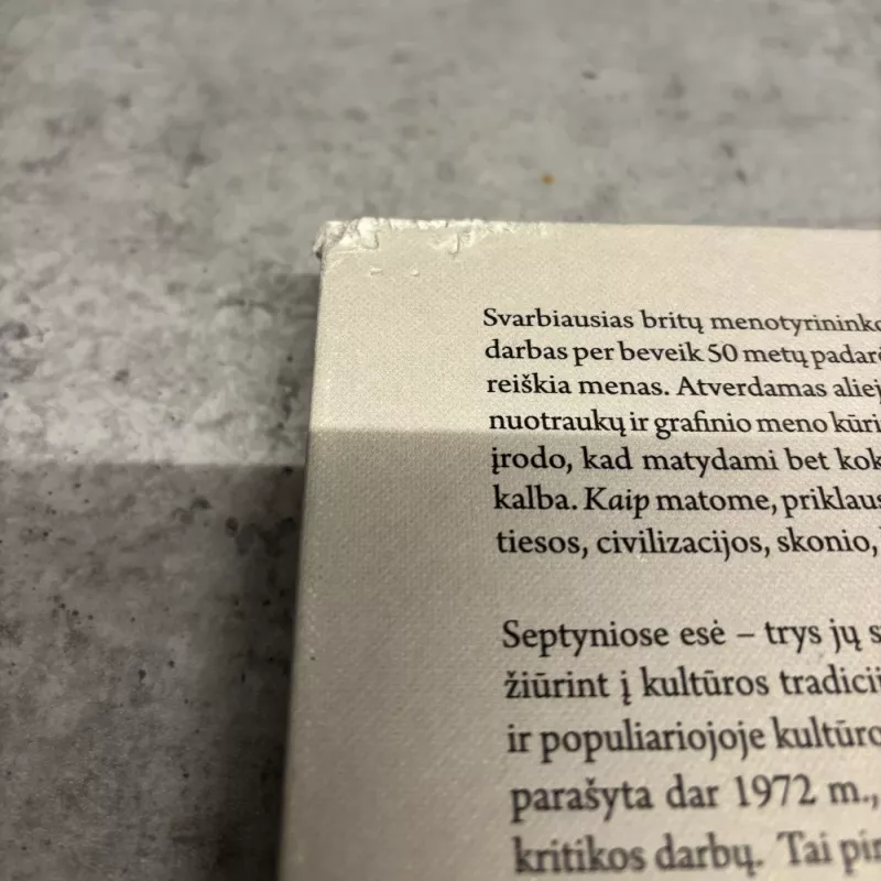 Kaip menas moko matyti - Berger John, Dibb Mike, Blomberg Sven, knyga 5