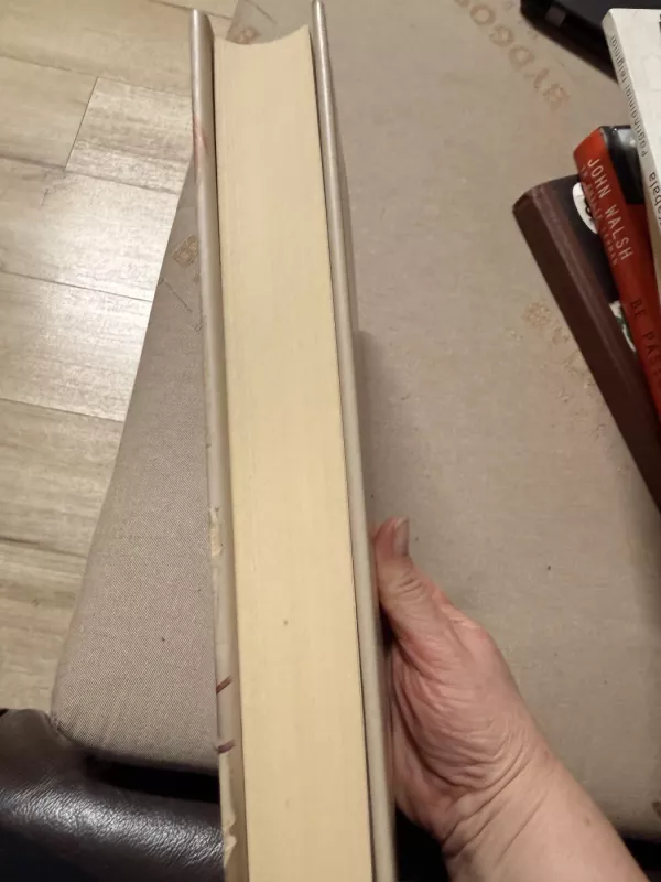 Žiburiai - Tracy Chevalier, knyga 3