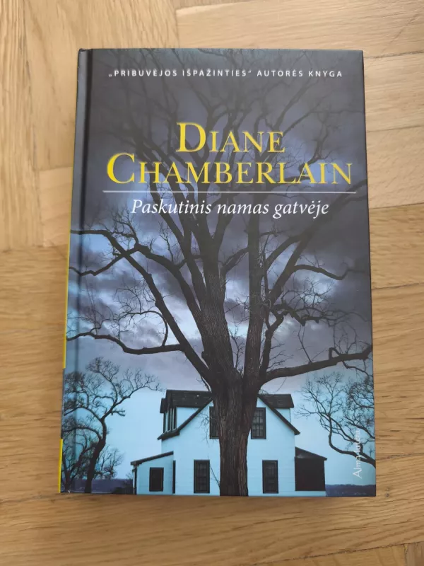 Paskutinis namas gatvėje - Diane Chamberlain, knyga 2