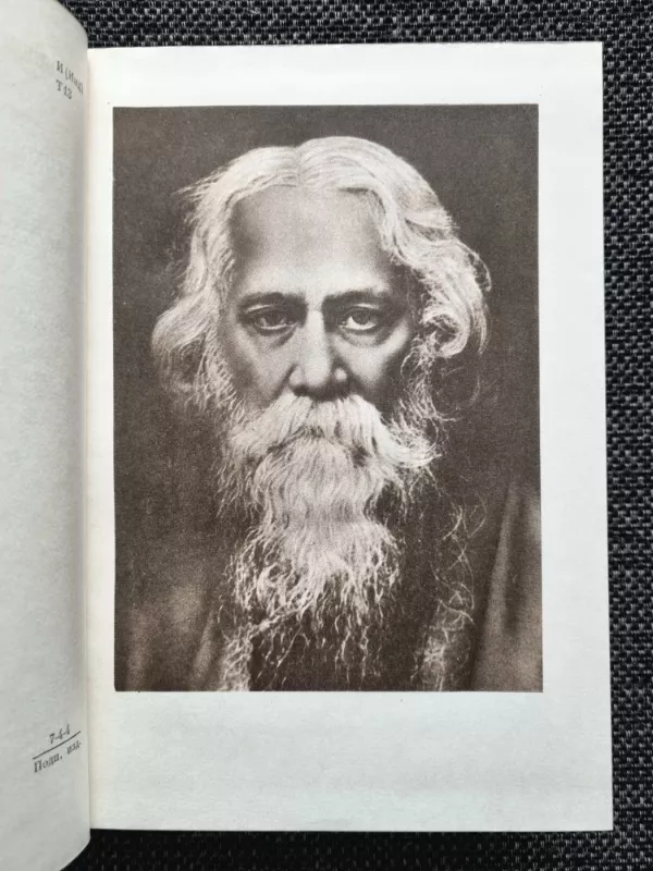 Stihotvorenija. Rasskazy. "Gora" - Rabindranat Tagor, knyga 4