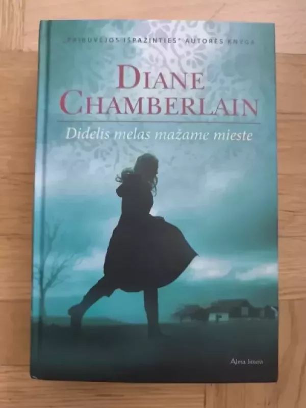 Didelis melas mažame mieste - Diane Chamberlain, knyga 2