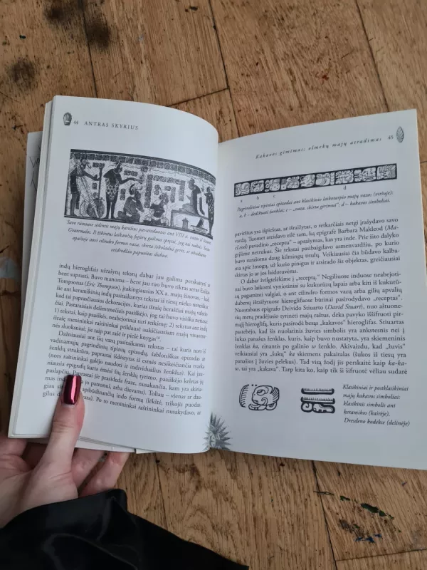 Tikroji šokolado istorija - Sophie Coe, Michael  Coe, knyga 5