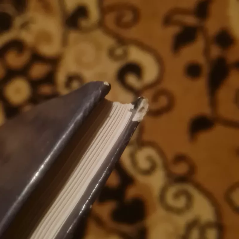 Solfedžio - Rimtautas Kašponis, knyga 5