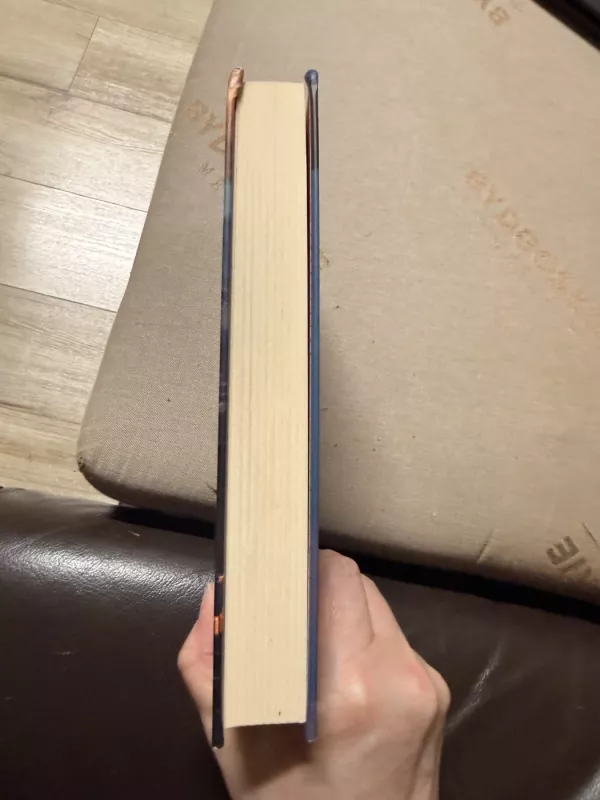 Pranykstanti žemė - Julia Phillips, knyga 3