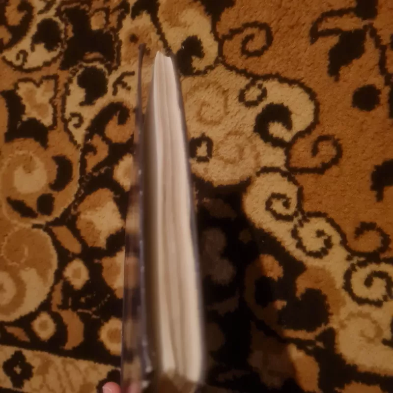 Solfedžio - Rimtautas Kašponis, knyga 4