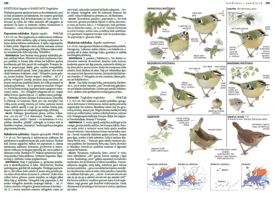 Europos paukščiai - Lars Svensson, Killian Mullarney, Dan Zetterström, Peter, knyga 3