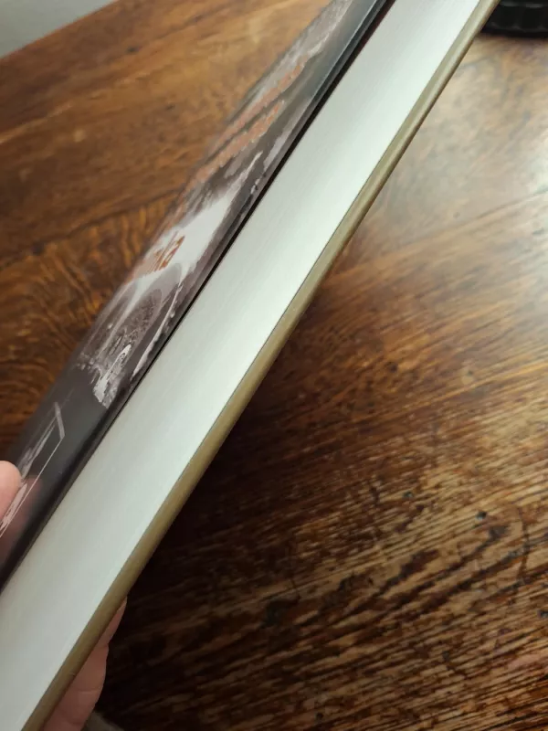 Antanas Smetona ir jo aplinka - Alfonsas Eidintas, knyga 4