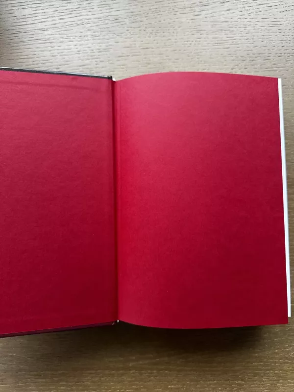 Treciojo Reicho triumfas. Antrasis pasaulinis karas Europoje. Pirma knyga - Robertas Petrauskas, knyga 5