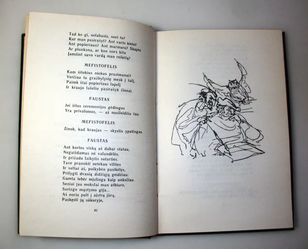 Faustas - Johanas Volfgangas Gėtė, knyga 6