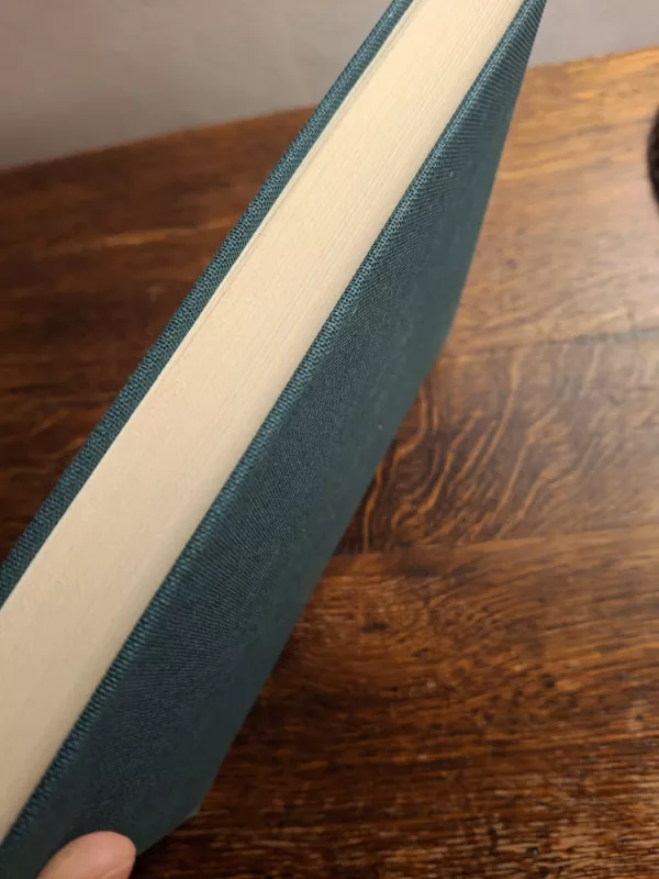 Lietuvos vienuolijos: XX a. istorijos bruožai - Regina Laukaitytė, knyga 6