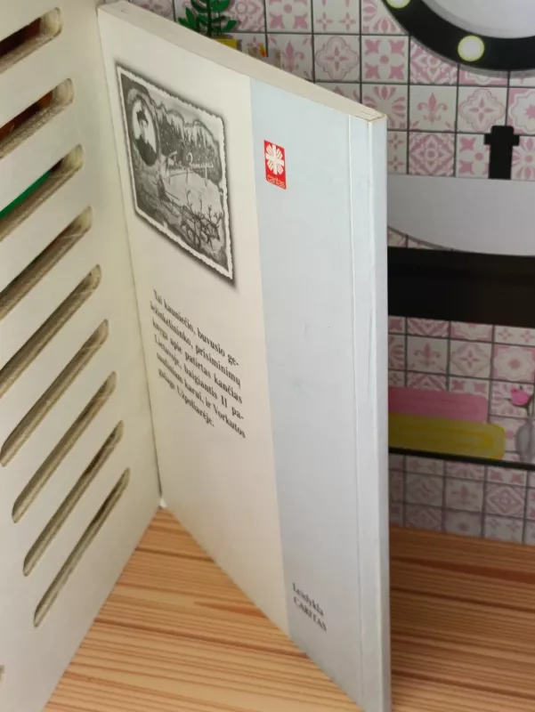 Baltųjų meškų šešėliuose - Mečislovas Liutkevičius, knyga 4