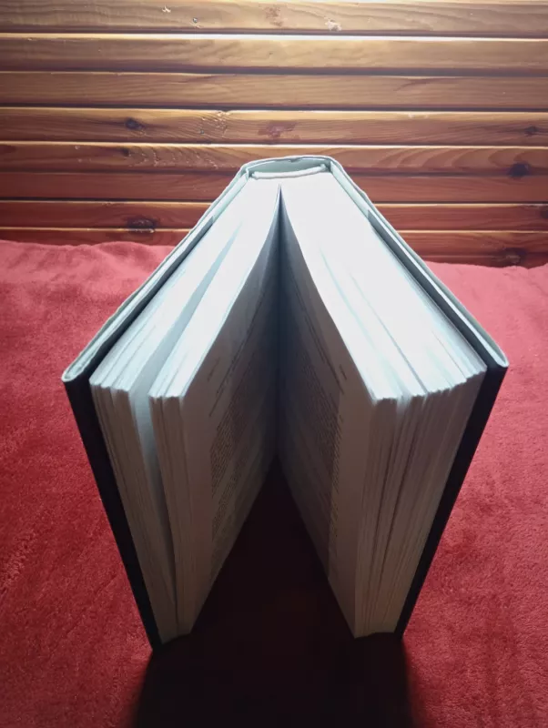 Dienoraščio fragmentai 1976-2000 - Alfonsas Nyka-Niliūnas, knyga 4