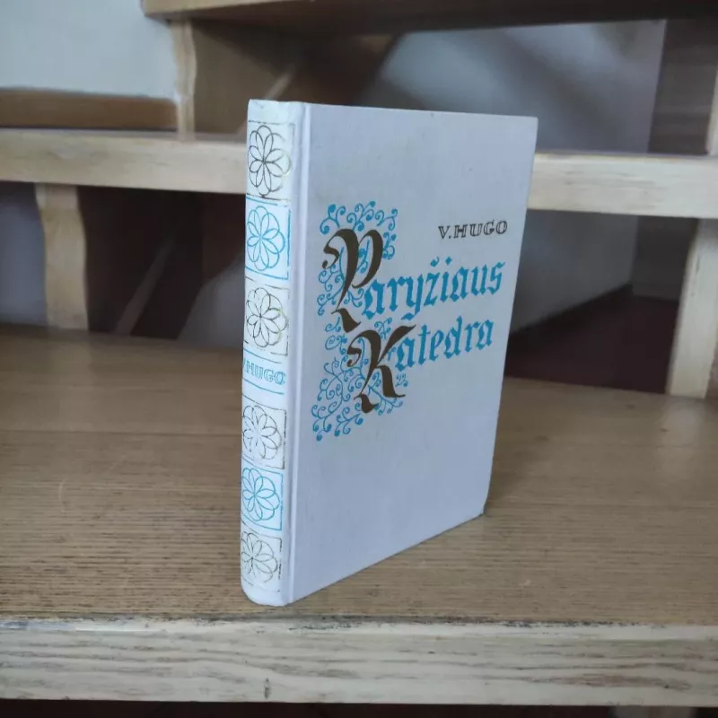 Paryžiaus katedra - Viktoras Hugo, knyga 4