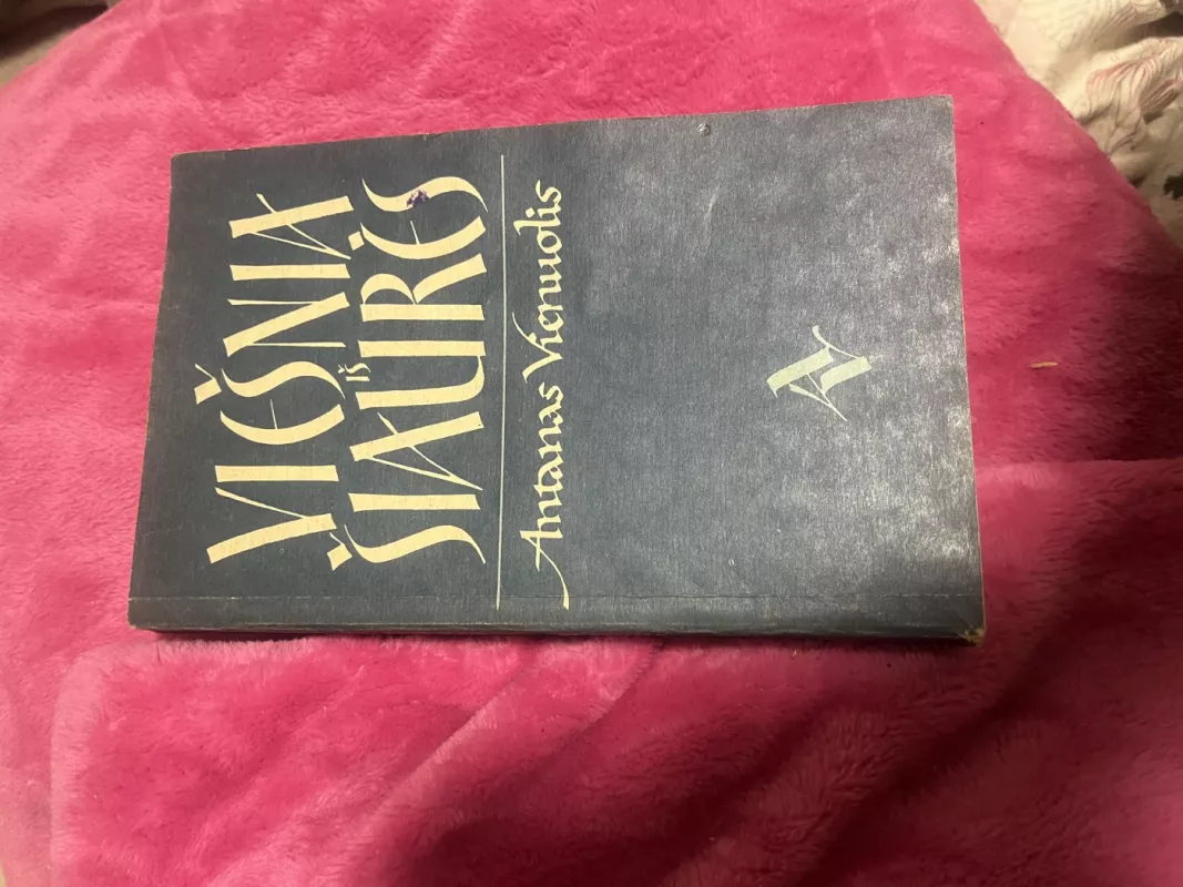 Viešnia iš Šiaurės - Antanas Vienuolis, knyga 2