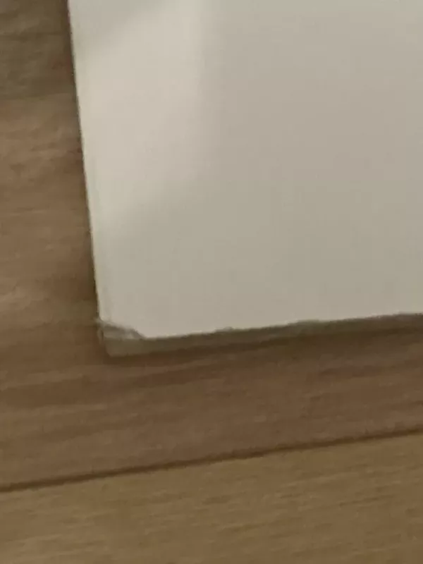 stray dogs another story - Kafka Asagiri, knyga 3