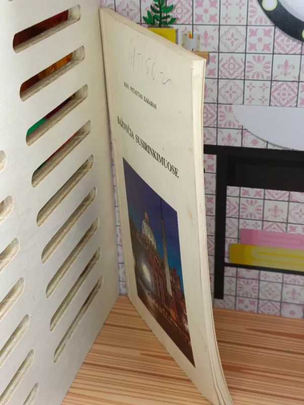 Bažnyčia susirinkimuose - Vytautas Zakaras, knyga 4