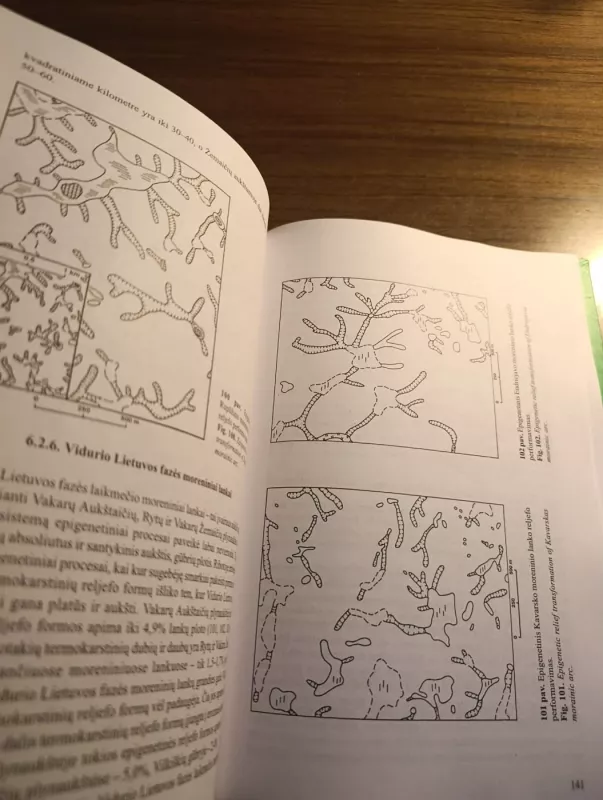 Lietuvos reljefas: morfologiniai ir morfometriniai aspektai - Česnulevičius Algimantas, knyga 6